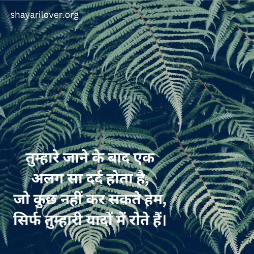 best sad shayari in hindi
